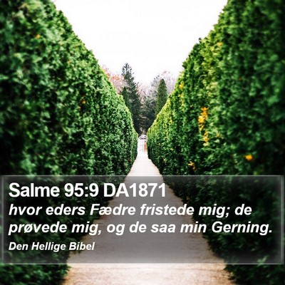 Salme 95:9 DA1871 Bible Verse Image