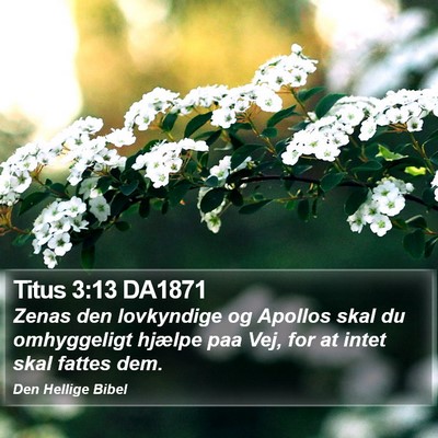 Titus 3:13 DA1871 Bible Verse Image