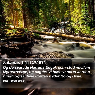 Zakarias 1:11 DA1871 Bible Verse Image