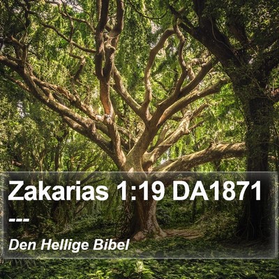 Zakarias 1:19 DA1871 Bible Verse Image