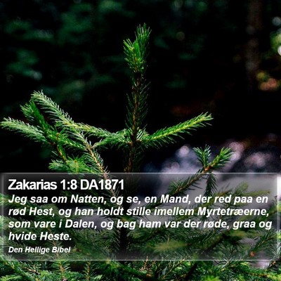 Zakarias 1:8 DA1871 Bible Verse Image