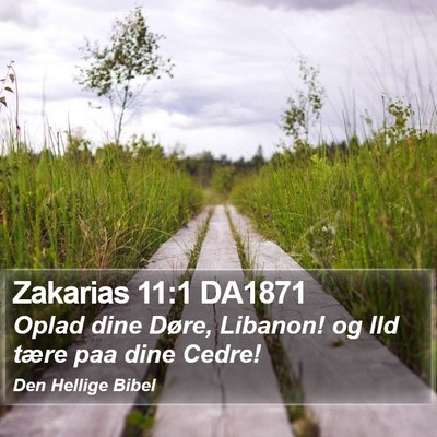 Zakarias 11:1 DA1871 Bible Verse Image