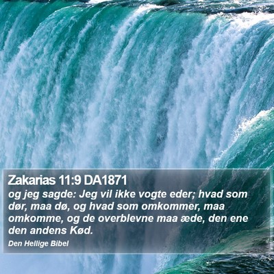 Zakarias 11:9 DA1871 Bible Verse Image