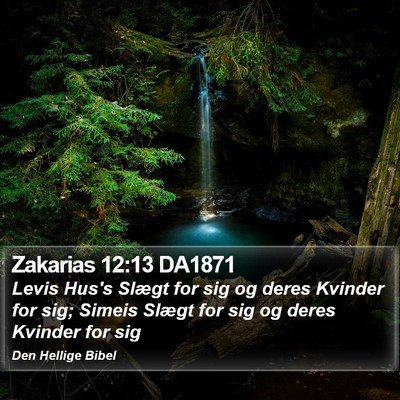 Zakarias 12:13 DA1871 Bible Verse Image