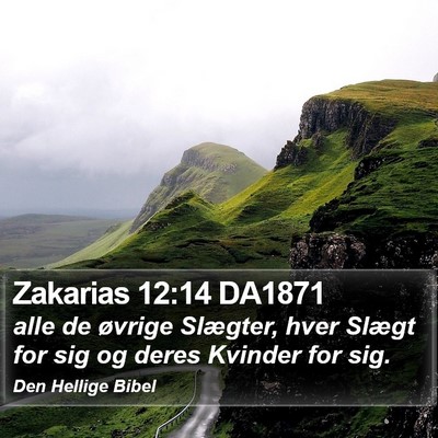 Zakarias 12:14 DA1871 Bible Verse Image