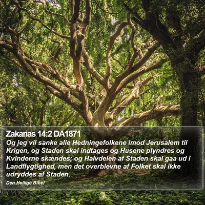 Zakarias 14:2 DA1871 Bible Verse Image
