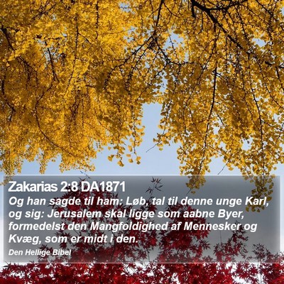 Zakarias 2:8 DA1871 Bible Verse Image
