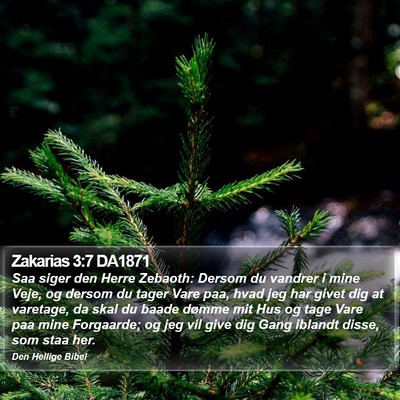 Zakarias 3:7 DA1871 Bible Verse Image