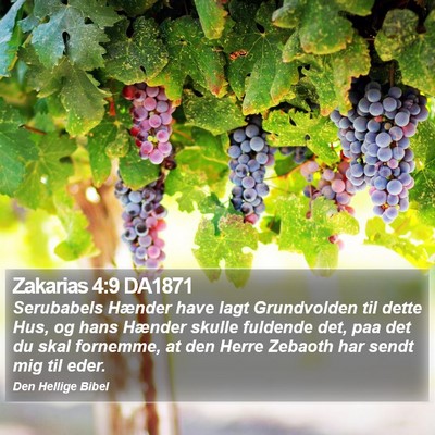 Zakarias 4:9 DA1871 Bible Verse Image