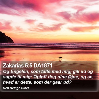Zakarias 5:5 DA1871 Bible Verse Image