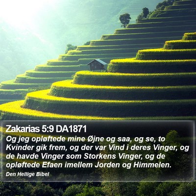 Zakarias 5:9 DA1871 Bible Verse Image