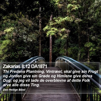 Zakarias 8:12 DA1871 Bible Verse Image
