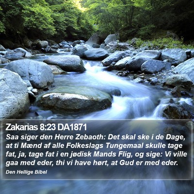 Zakarias 8:23 DA1871 Bible Verse Image