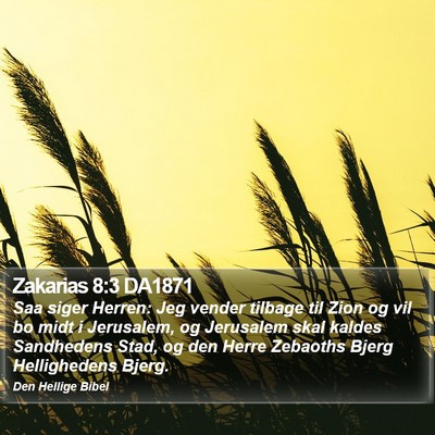 Zakarias 8:3 DA1871 Bible Verse Image