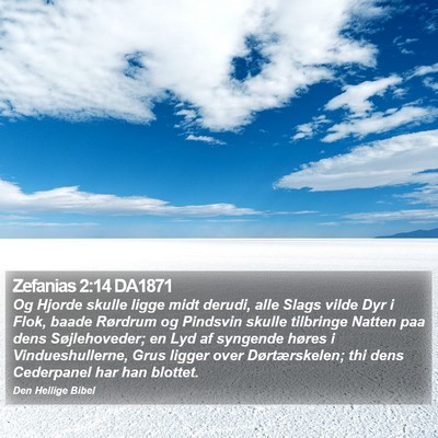 Zefanias 2:14 DA1871 Bible Verse Image