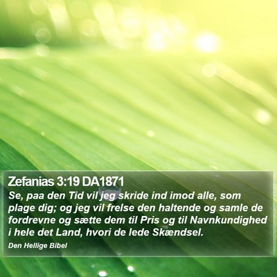 Zefanias 3:19 DA1871 Bible Verse Image