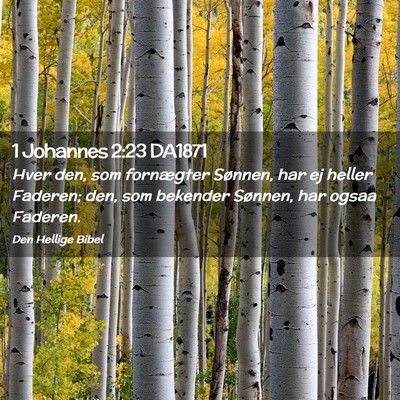 Picture 02 - 1 Johannes 2:23 DA1871 - Hver den, som fornægter Sønnen, har ej heller - Bible Verse Picture