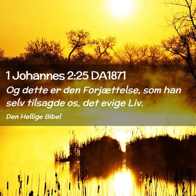 Picture 02 - 1 Johannes 2:25 DA1871 - Og dette er den Forjættelse, som han selv - Bible Verse Picture