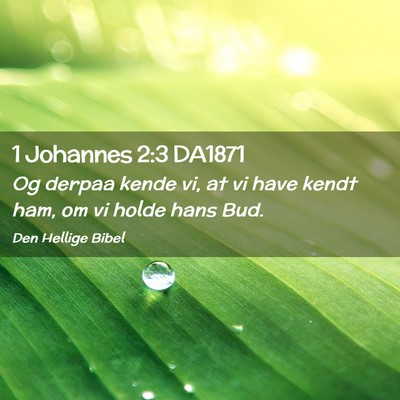 Picture 02 - 1 Johannes 2:3 DA1871 - Og derpaa kende vi, at vi have kendt ham, om vi - Bible Verse Picture