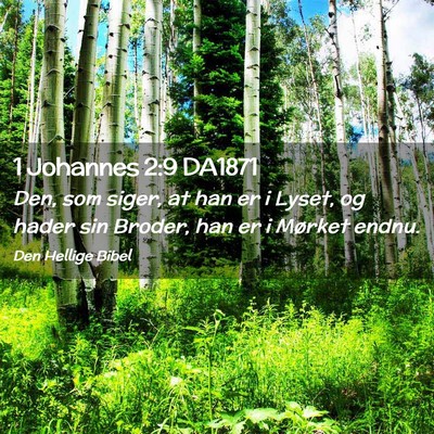 Picture 02 - 1 Johannes 2:9 DA1871 - Den, som siger, at han er i Lyset, og hader sin - Bible Verse Picture