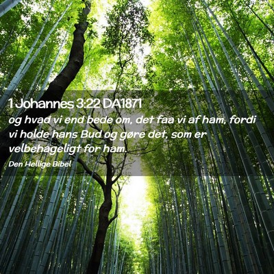 Picture 02 - 1 Johannes 3:22 DA1871 - og hvad vi end bede om, det faa vi af ham, fordi - Bible Verse Picture