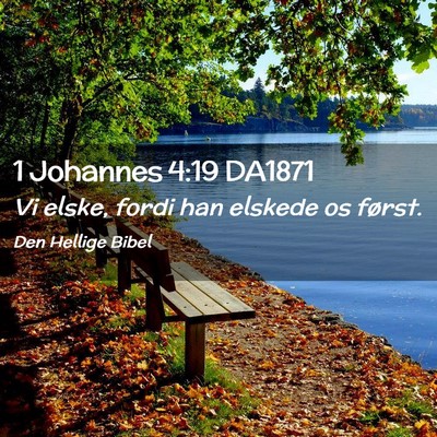 Picture 02 - 1 Johannes 4:19 DA1871 - Vi elske, fordi han elskede os - Bible Verse Picture