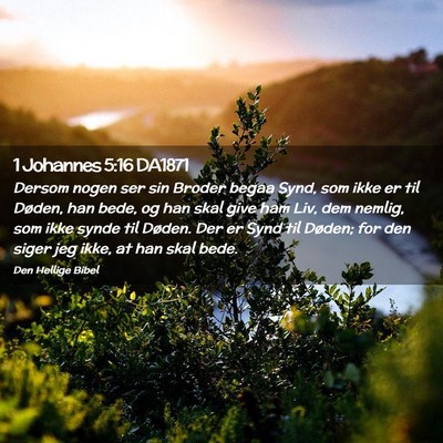 Picture 02 - 1 Johannes 5:16 DA1871 - Dersom nogen ser sin Broder begaa Synd, som ikke - Bible Verse Picture