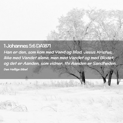 Picture 02 - 1 Johannes 5:6 DA1871 - Han er den, som kom med Vand og Blod, Jesus - Bible Verse Picture
