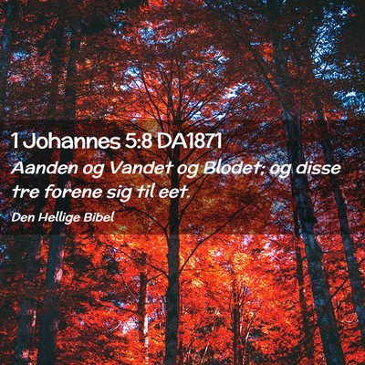 Picture 02 - 1 Johannes 5:8 DA1871 - Aanden og Vandet og Blodet; og disse tre forene - Bible Verse Picture