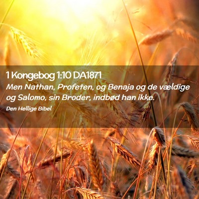 Picture 02 - 1 Kongebog 1:10 DA1871 - Men Nathan, Profeten, og Benaja og de vældige og - Bible Verse Picture