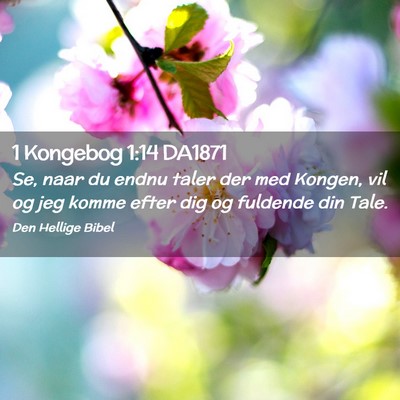 Picture 02 - 1 Kongebog 1:14 DA1871 - Se, naar du endnu taler der med Kongen, vil og - Bible Verse Picture