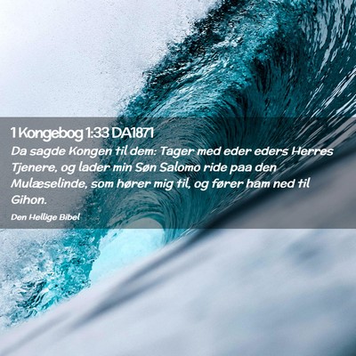 Picture 02 - 1 Kongebog 1:33 DA1871 - Da sagde Kongen til dem: Tager med eder eders - Bible Verse Picture