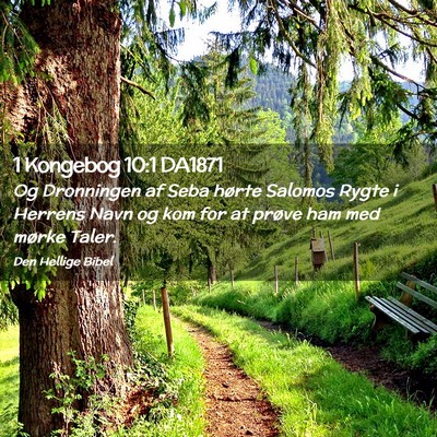 Picture 02 - 1 Kongebog 10:1 DA1871 - Og Dronningen af Seba hørte Salomos Rygte i - Bible Verse Picture