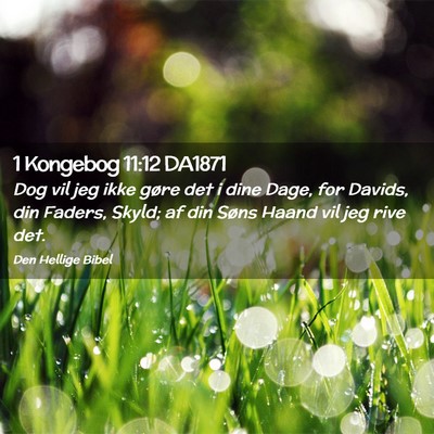 Picture 02 - 1 Kongebog 11:12 DA1871 - Dog vil jeg ikke gøre det i dine Dage, for - Bible Verse Picture