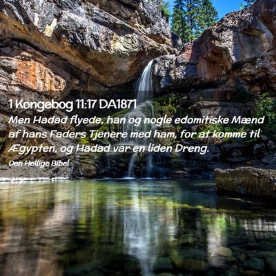 Picture 02 - 1 Kongebog 11:17 DA1871 - Men Hadad flyede, han og nogle edomitiske Mænd - Bible Verse Picture