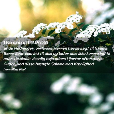 Picture 02 - 1 Kongebog 11:2 DA1871 - af de Hedninger, om hvilke Herren havde sagt til - Bible Verse Picture