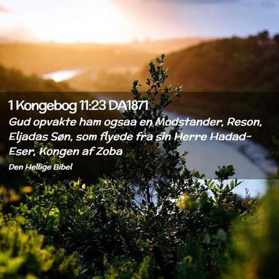 Picture 02 - 1 Kongebog 11:23 DA1871 - Gud opvakte ham ogsaa en Modstander, Reson, - Bible Verse Picture