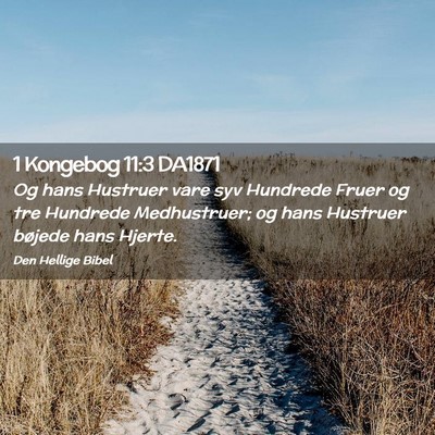 Picture 02 - 1 Kongebog 11:3 DA1871 - Og hans Hustruer vare syv Hundrede Fruer og tre - Bible Verse Picture