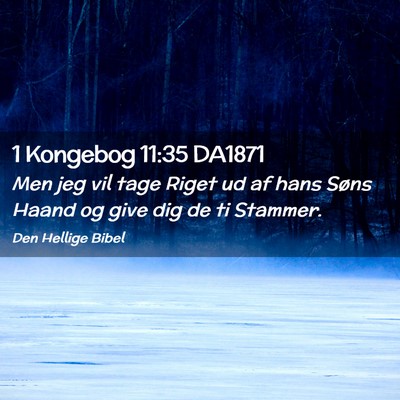 Picture 02 - 1 Kongebog 11:35 DA1871 - Men jeg vil tage Riget ud af hans Søns Haand og - Bible Verse Picture