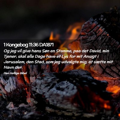 Picture 02 - 1 Kongebog 11:36 DA1871 - Og jeg vil give hans Søn en Stamme, paa det - Bible Verse Picture