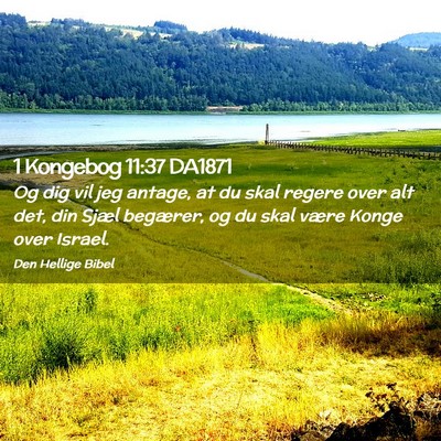 Picture 02 - 1 Kongebog 11:37 DA1871 - Og dig vil jeg antage, at du skal regere over alt - Bible Verse Picture