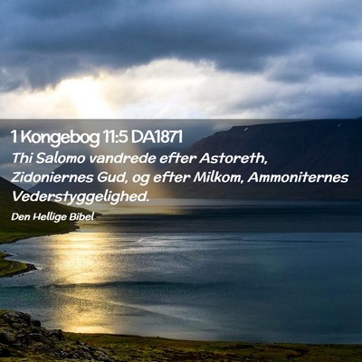 Picture 02 - 1 Kongebog 11:5 DA1871 - Thi Salomo vandrede efter Astoreth, Zidoniernes - Bible Verse Picture