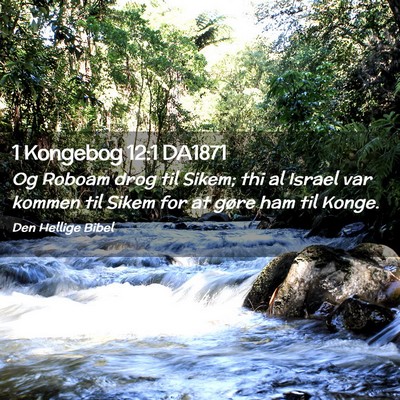 Picture 02 - 1 Kongebog 12:1 DA1871 - Og Roboam drog til Sikem; thi al Israel var - Bible Verse Picture