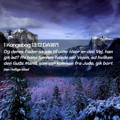 Picture 02 - 1 Kongebog 13:12 DA1871 - Og deres Fader sagde til dem: Hvor er den Vej, - Bible Verse Picture