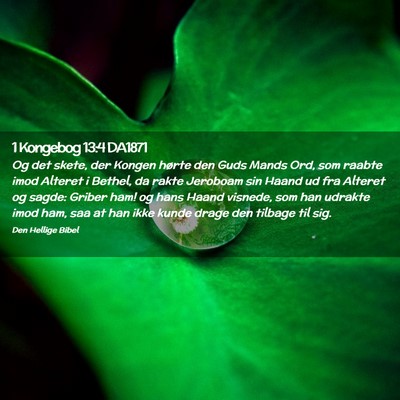 Picture 02 - 1 Kongebog 13:4 DA1871 - Og det skete, der Kongen hørte den Guds Mands - Bible Verse Picture
