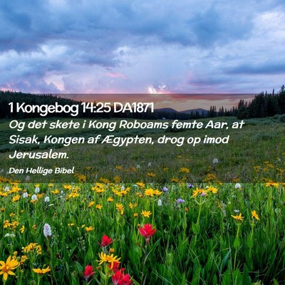 Picture 02 - 1 Kongebog 14:25 DA1871 - Og det skete i Kong Roboams femte Aar, at Sisak, - Bible Verse Picture
