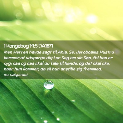 Picture 02 - 1 Kongebog 14:5 DA1871 - Men Herren havde sagt til Ahia: Se, Jeroboams - Bible Verse Picture
