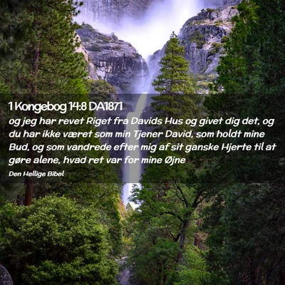 Picture 02 - 1 Kongebog 14:8 DA1871 - og jeg har revet Riget fra Davids Hus og givet - Bible Verse Picture