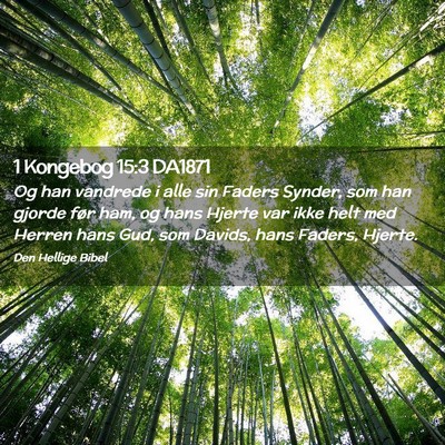 Picture 02 - 1 Kongebog 15:3 DA1871 - Og han vandrede i alle sin Faders Synder, som han - Bible Verse Picture