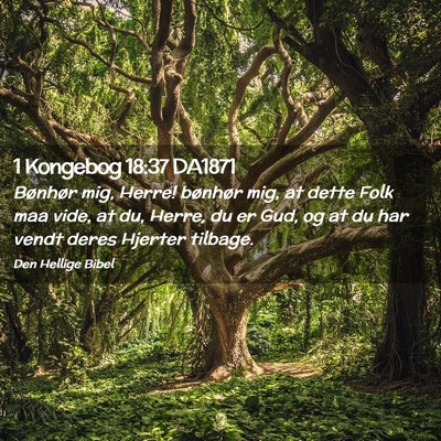 Picture 02 - 1 Kongebog 18:37 DA1871 - Bønhør mig, Herre! bønhør mig, at dette Folk - Bible Verse Picture